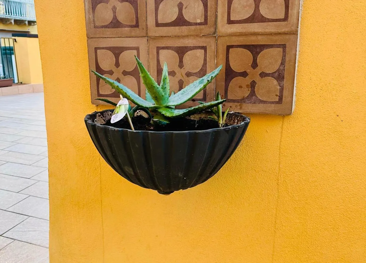 Guest house Flo' Hotel Naples